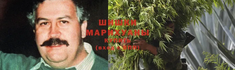 Конопля OG Kush  закладка  Глазов 